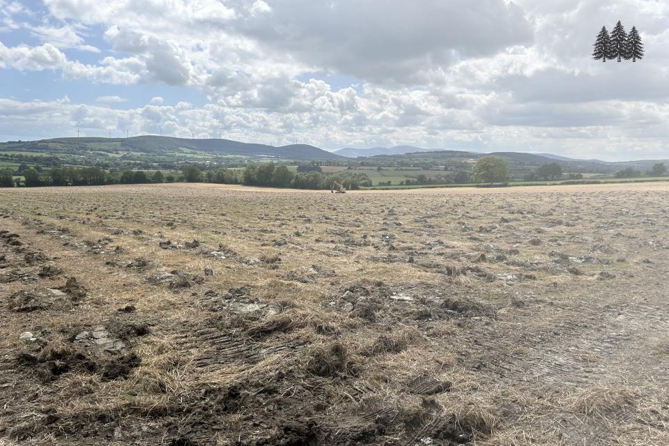Wicklow Project