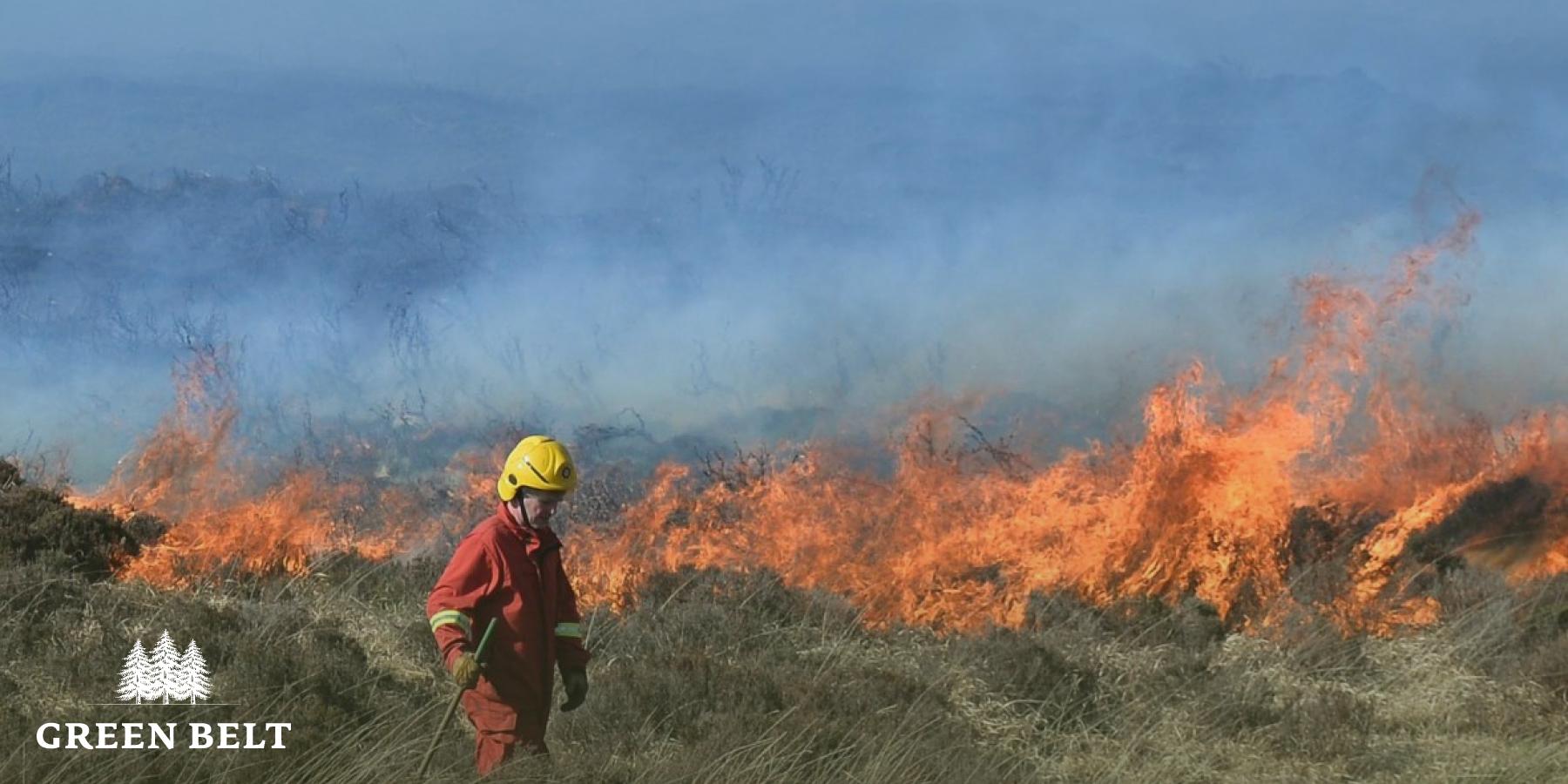 irish_forest_fire_times.jpg