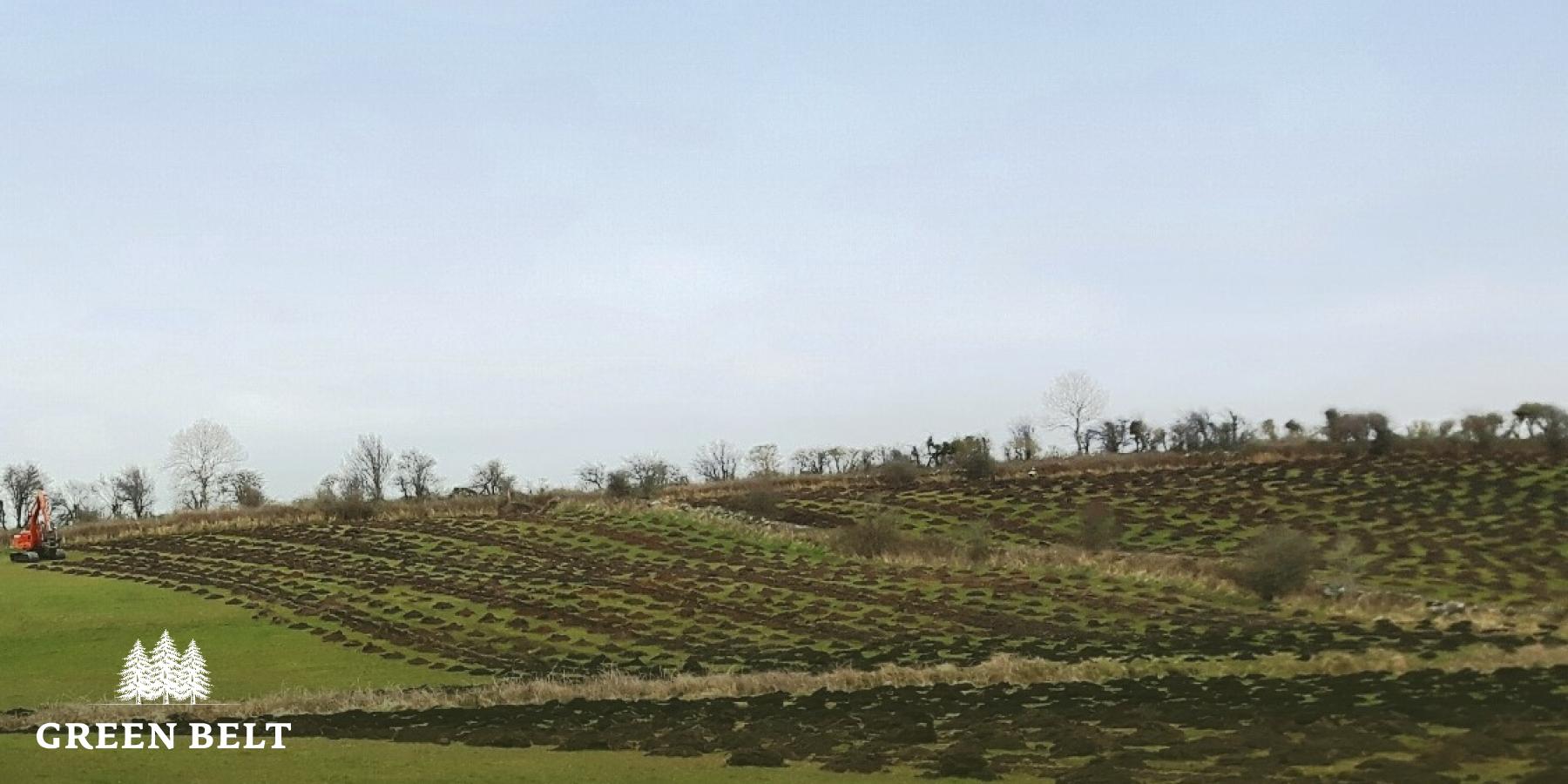 new_planting_picture_website_2.jpg