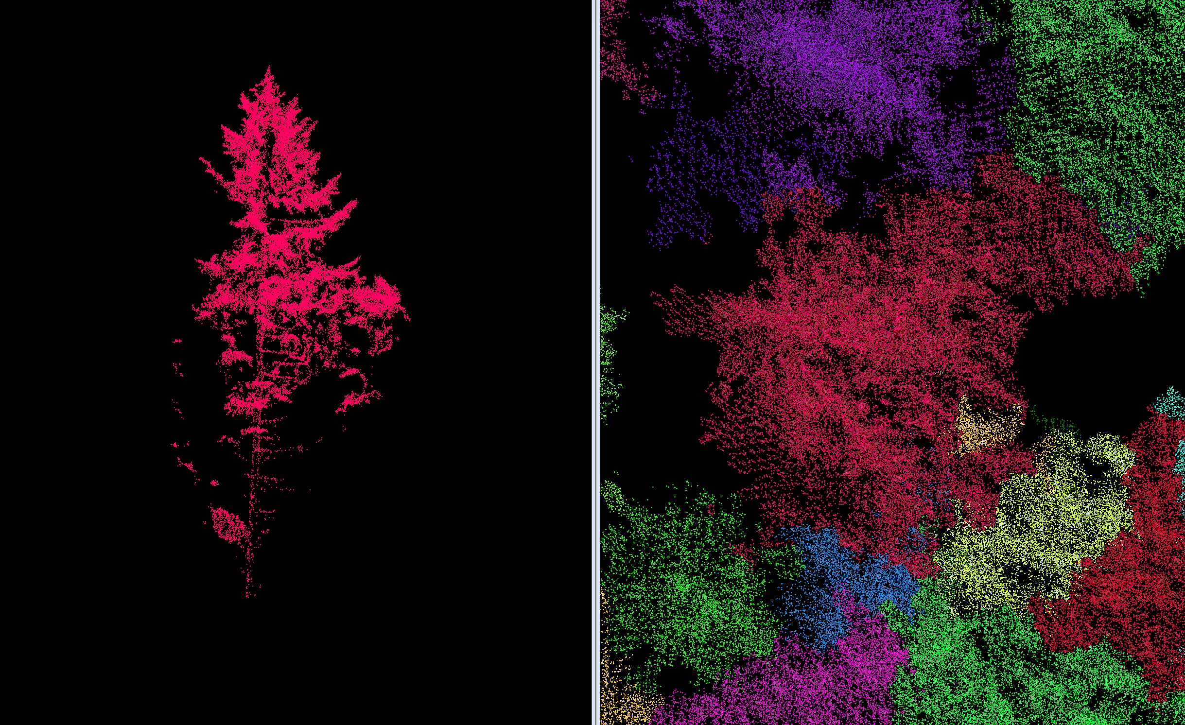 Lidar data on tree height and measurement