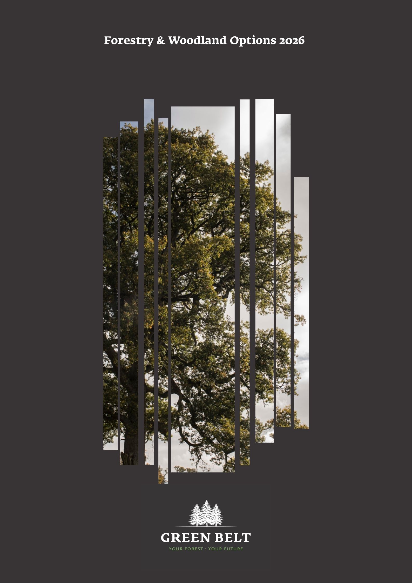 FORESTRY OPTIONS 2026