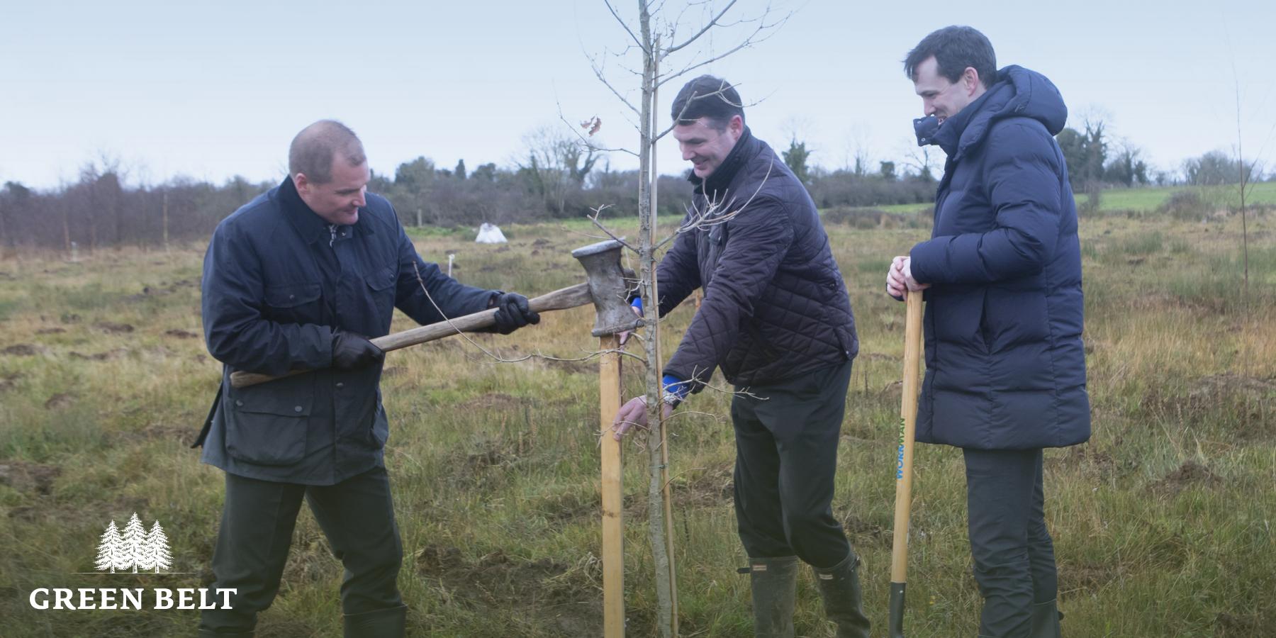 Aldi plant native woodlands