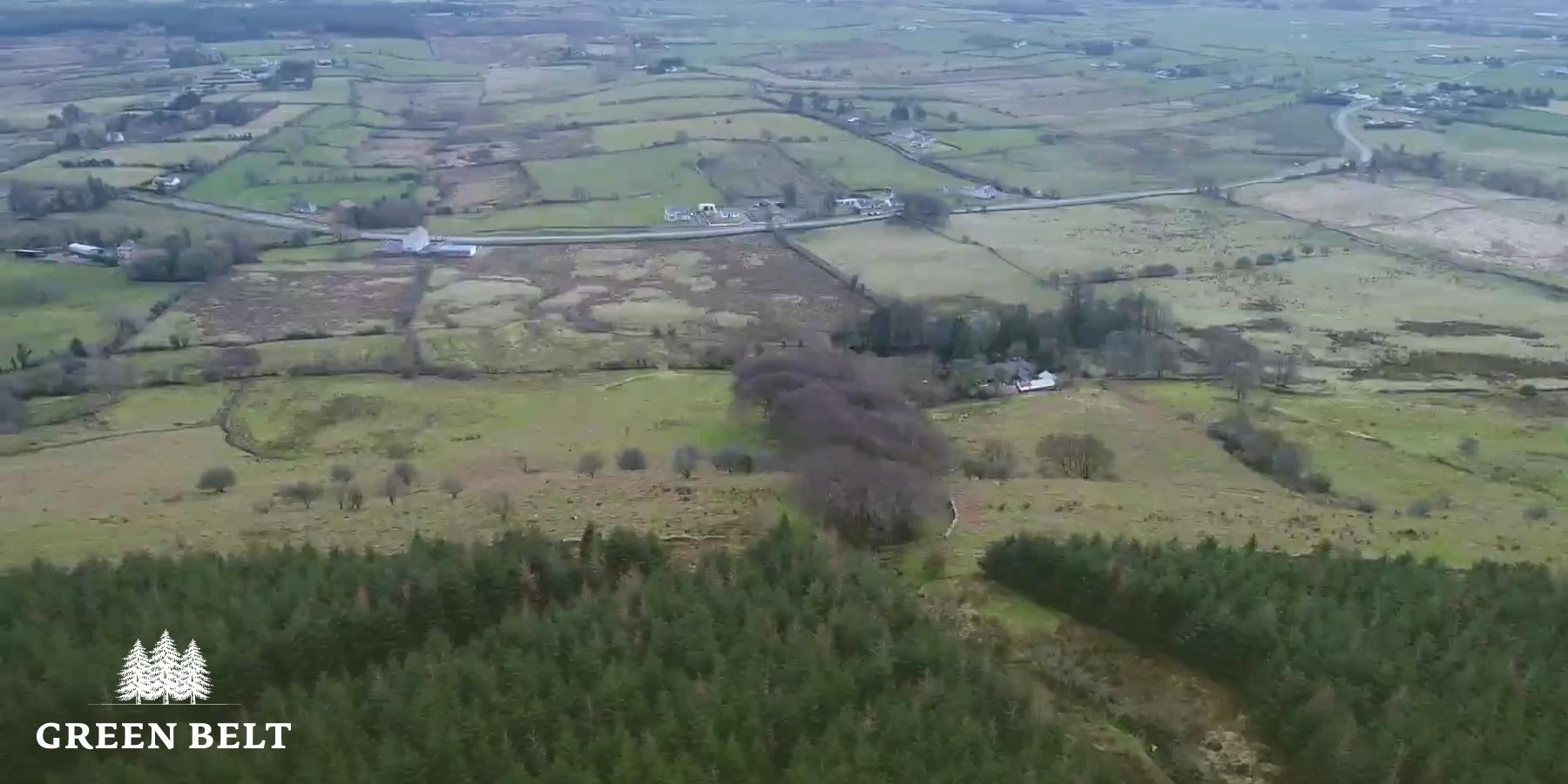 Forestry in Balla, Mayo for sale