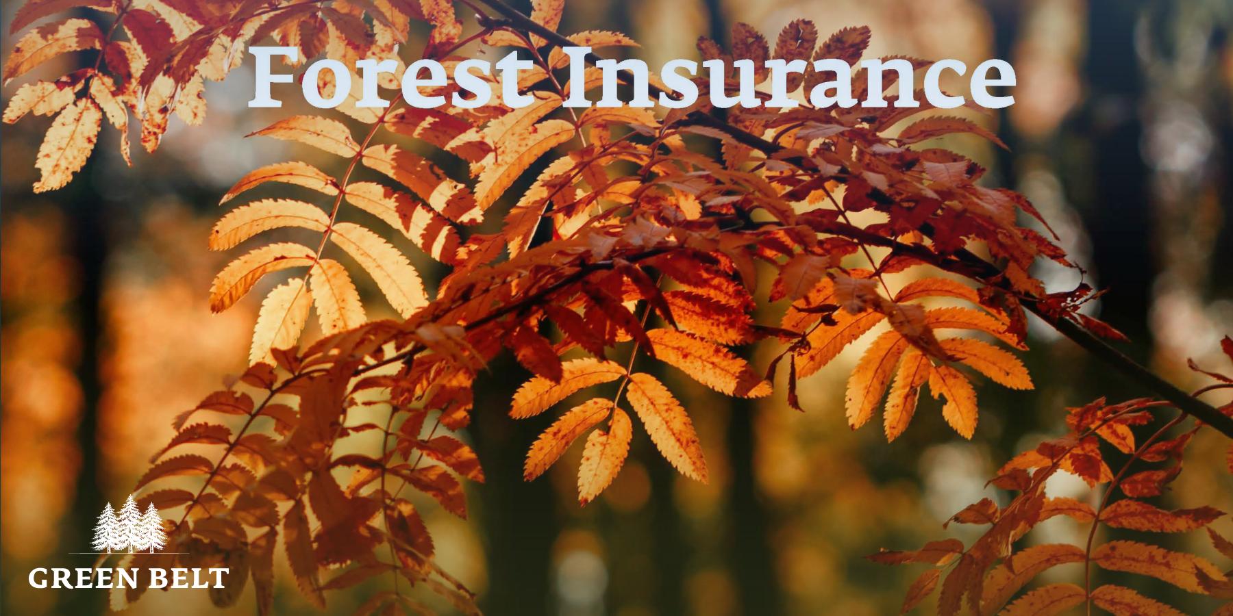 Forestry Insurance 