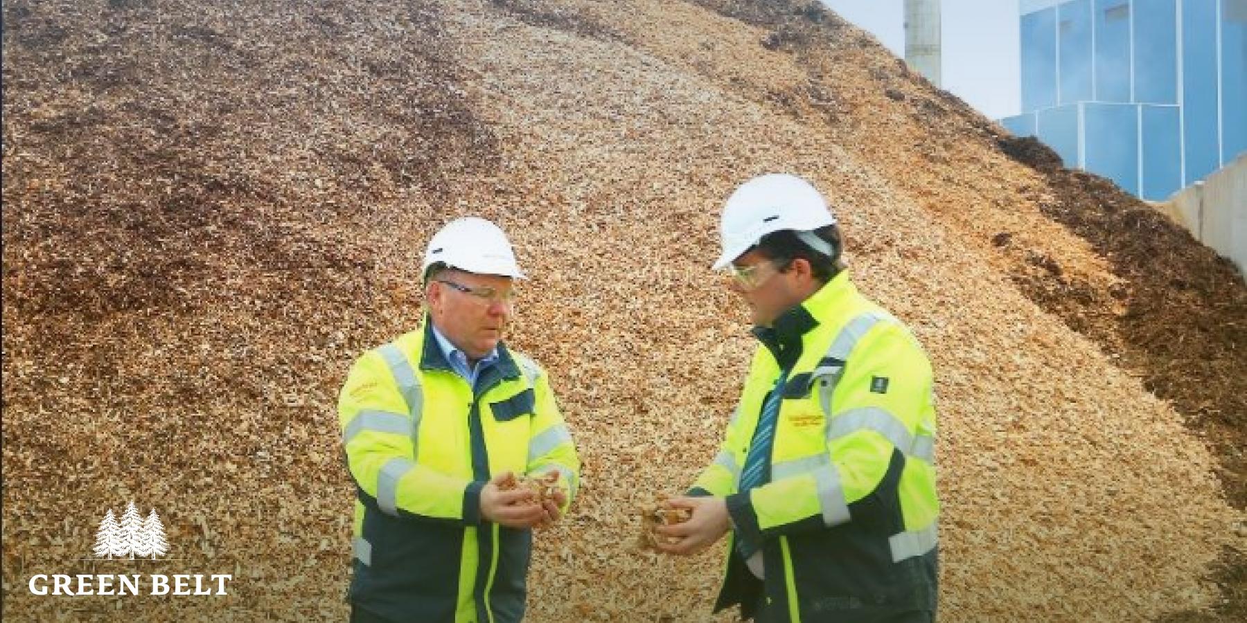 Bord Na Mona and biomass