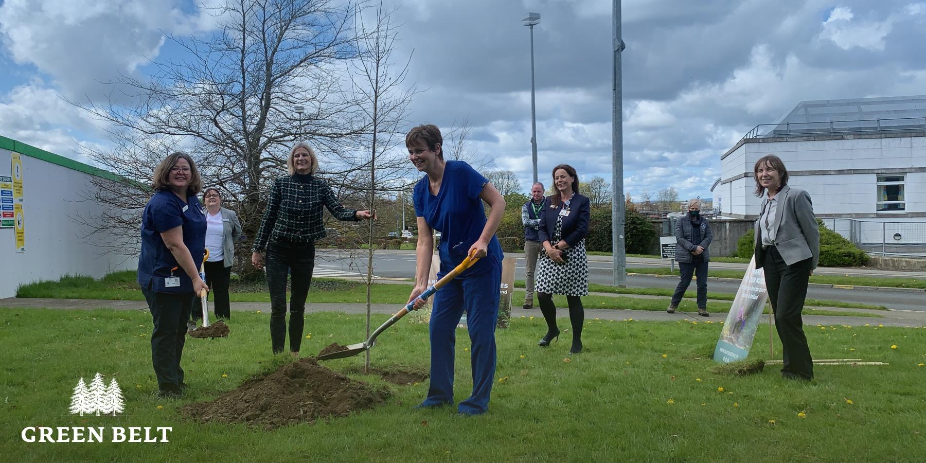 native trees planted