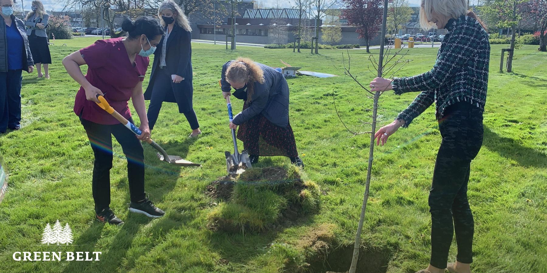 Pippa Hackett plants a tree