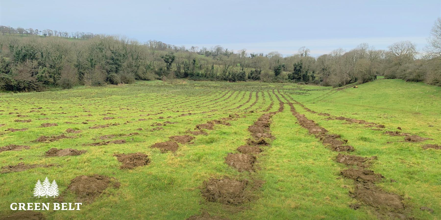 Tree planting preparation 