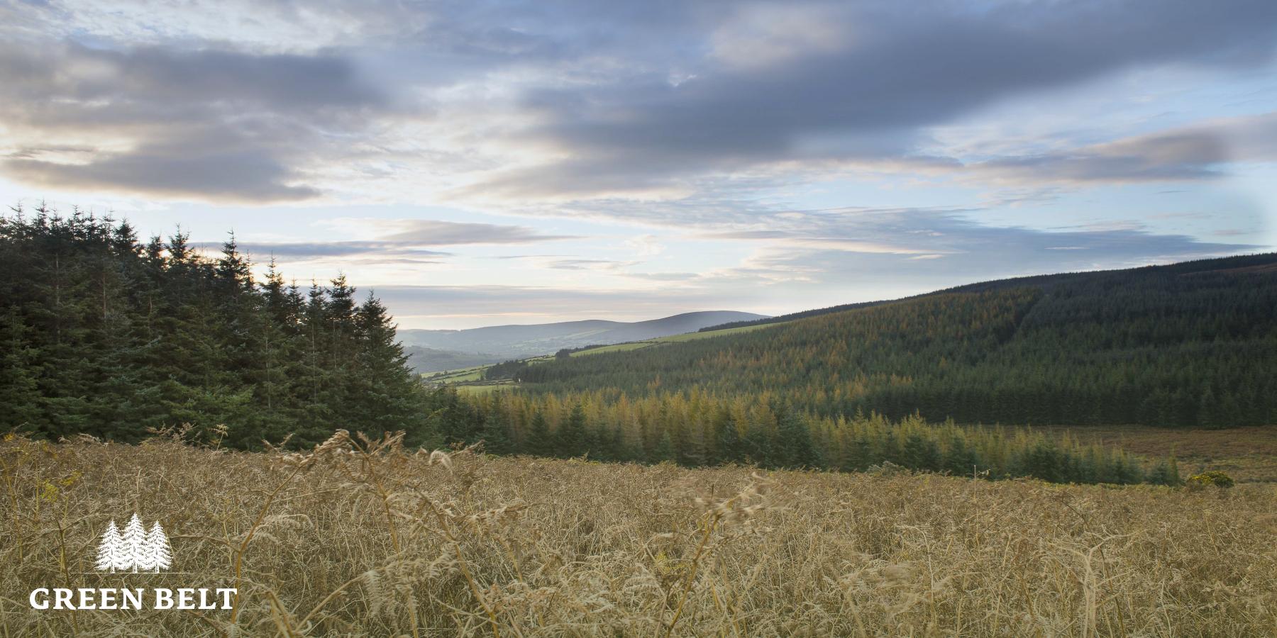 Forestry Insurance
