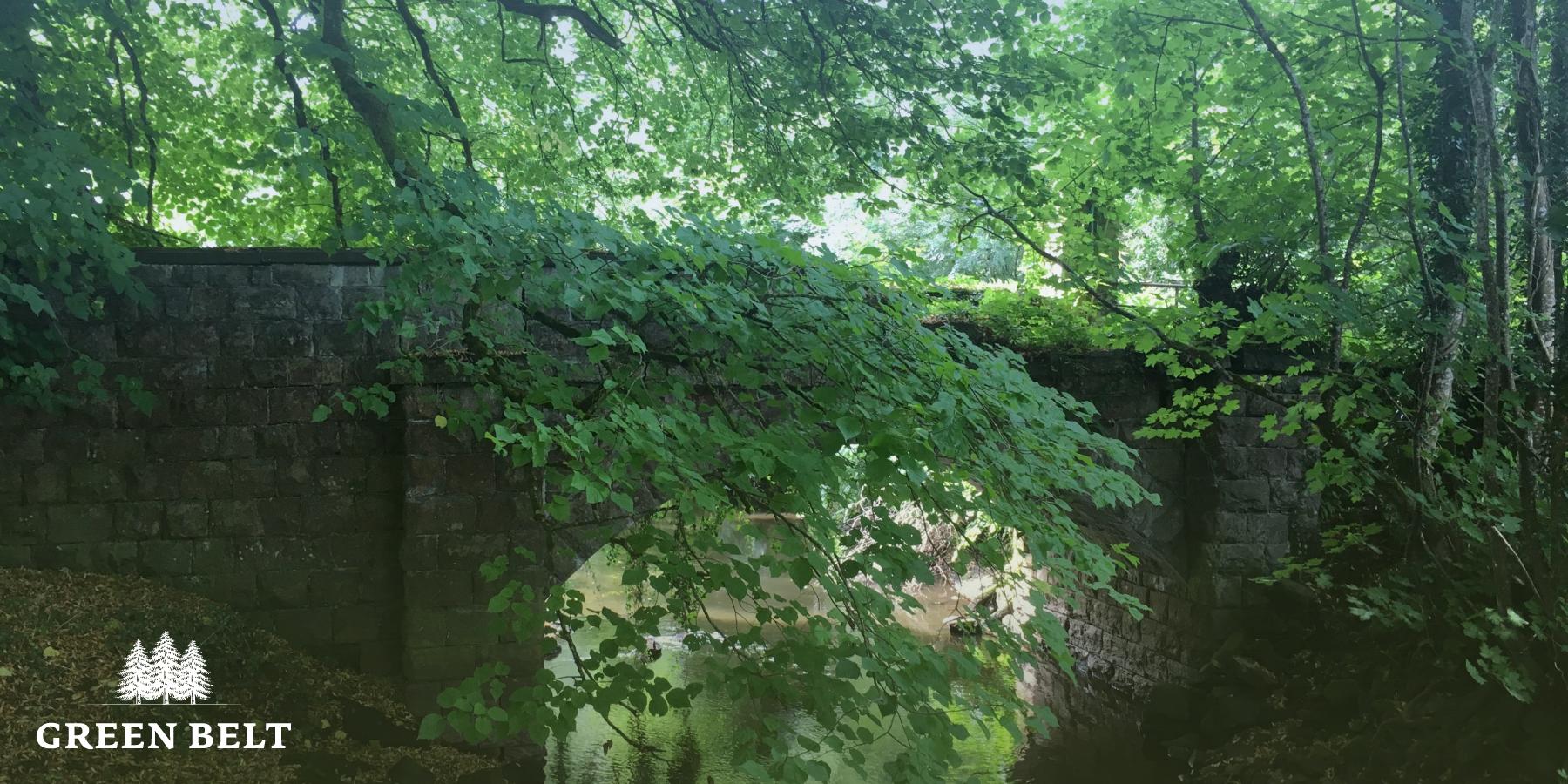 Woodland with Heritage Bridge