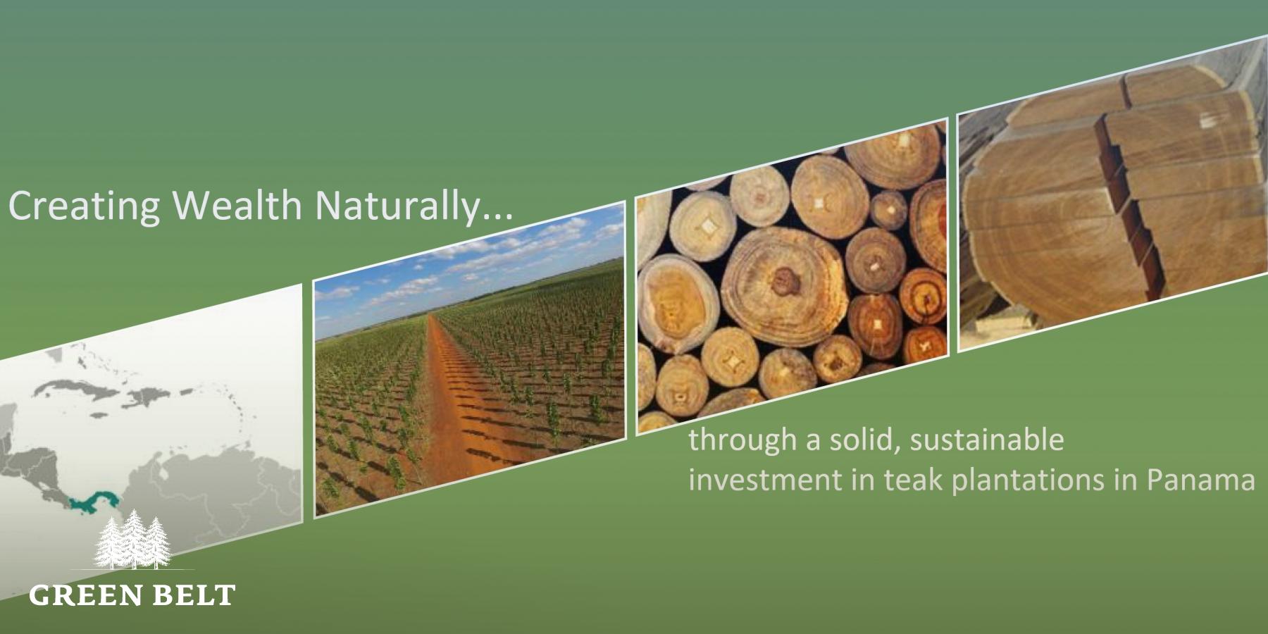 Panama Teak Investment