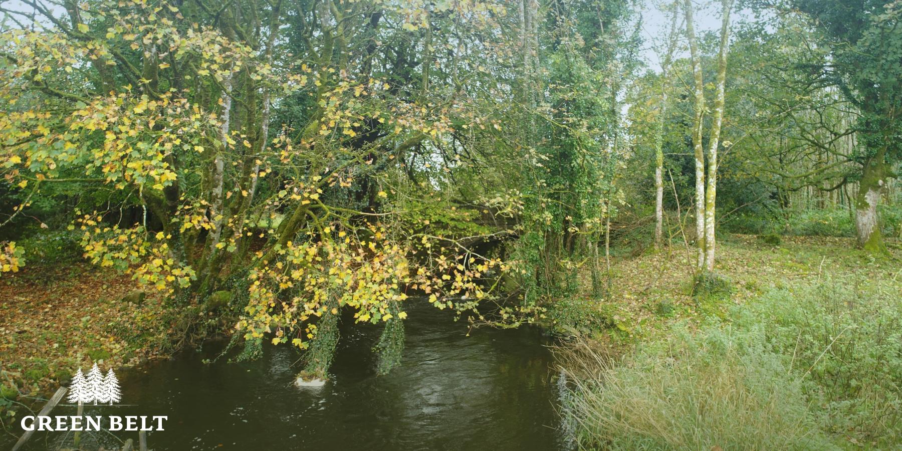 Improving biodiversity in Ireland's natural environment