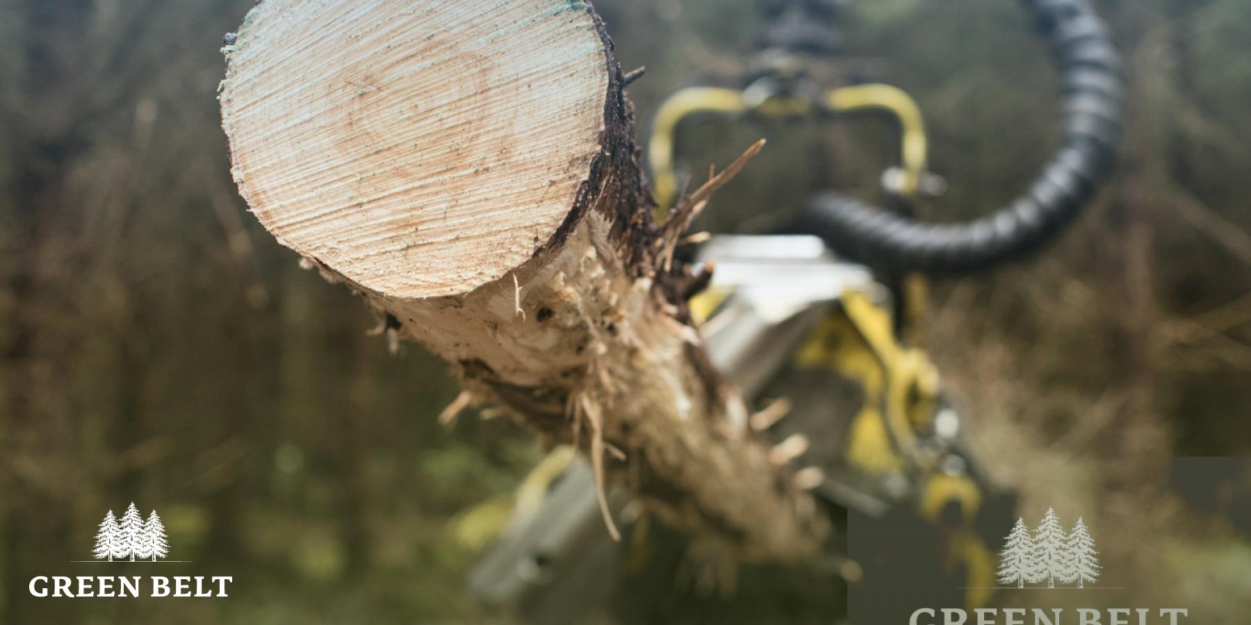 Green Belt Harvesting Forestry