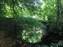 Woodland with Heritage Bridge