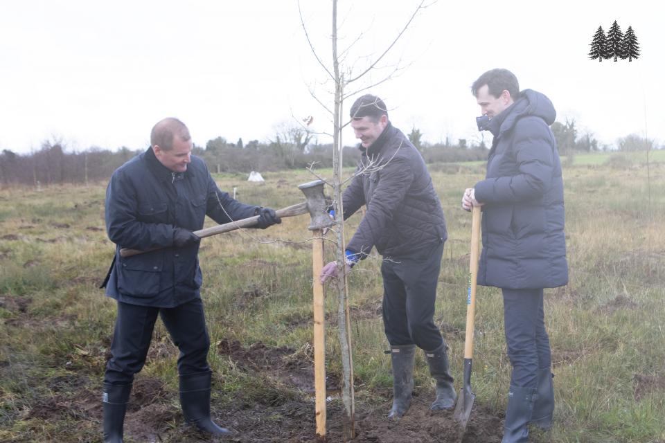 Aldi plant native woodlands