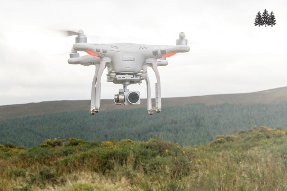 Drone Assessing Forestry