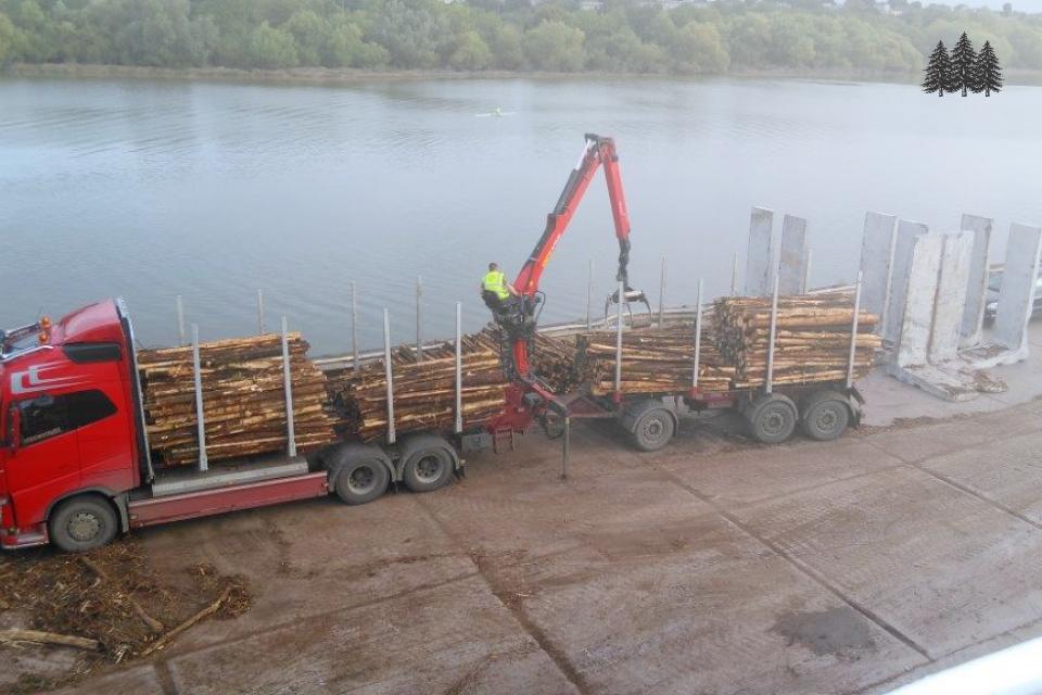 Offloading timber at the port.