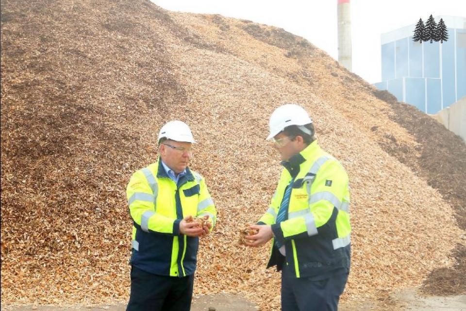 Bord Na Mona and biomass