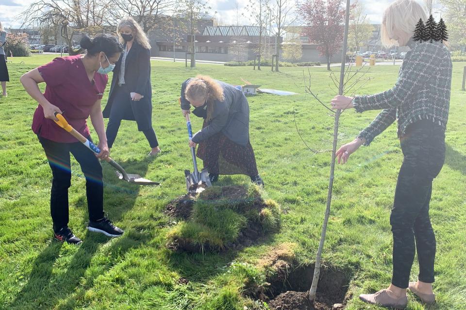 Pippa Hackett plants a tree