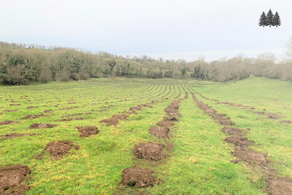 Tree planting preparation 