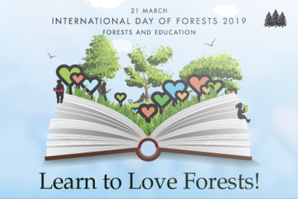 FAO day of forests