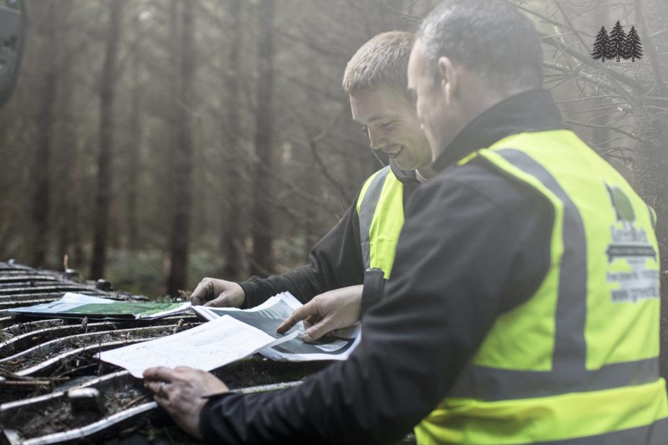 Proactively managing your forest
